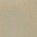 Armada Art 100 Percent Polyvinyl Chloride Fabric, Sand Beach ARMAD119